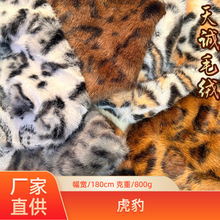 �F؛���yС����ë�q���ϻ�����ë���y���bЬ����߸ߵ�ë���y����