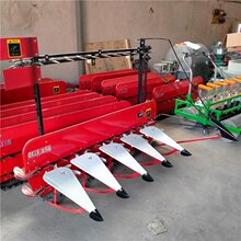 ��݆����ĸ���ո�C ���׽ն���U�C ���lɣ�l���C