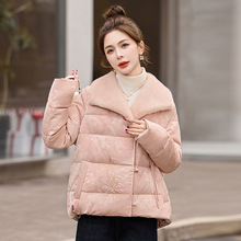 �F؛��q��2024���¿�����ʽ���L�P���L�䷭�I�����q����HE99837