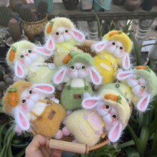 ���������ż������޿�ͨ���Ǆ���Y��diy���ϰ�ë���ֹ�������