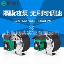 BAXIT巴谢特隔膜液泵12V/24V微型真空泵气液两用小水泵L01BW气泵