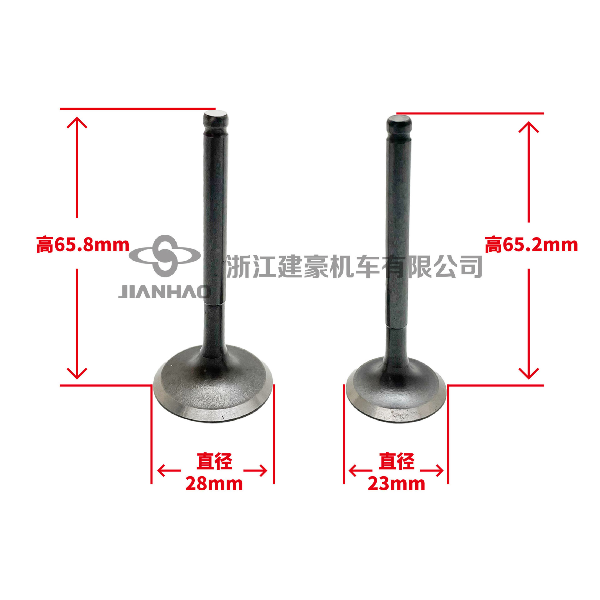 Scooter Engine Gy6-50/80/125/150/180 Intake Valve Exhaust Valve 139Qmb157Qmj