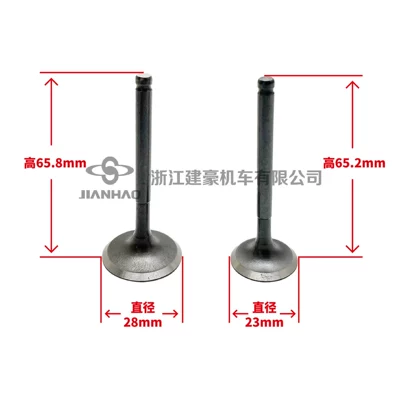 Valve 139Qmb157Qmj, Motorcycle engine and accessories