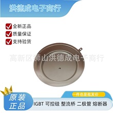 DSF20545SF DSF21545SV DSF11060SG�ͺ���ȫ���������ܿɿع�ģ��
