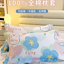 ����һ���b48x74cm�������^��đ������о�׼Ӻ��̖����2ֻg^