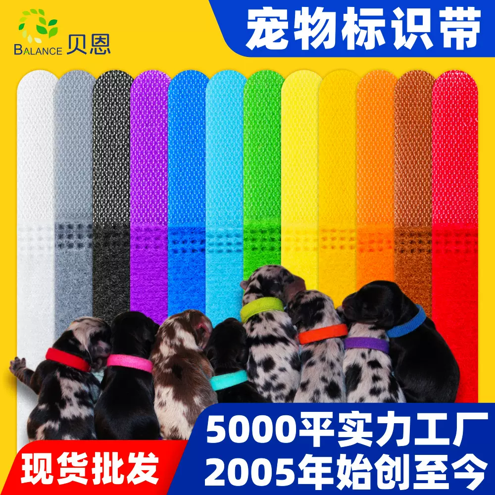 源头厂家批发严选宠物项圈双面软毛猫咪狗狗身份ID标记魔术贴绑带