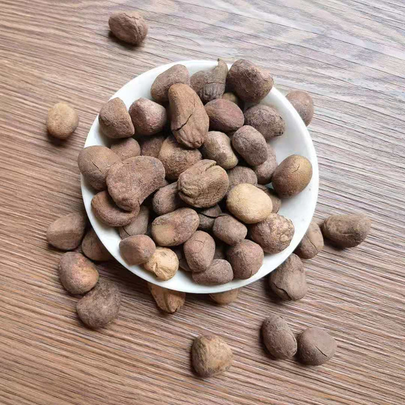 Dried Chaulmoogra Seeds Da Feng Zi 大枫子 Whole Herb Bulk Supply key features
