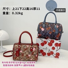 2025�ļ��¿�W�RŮʿ���������ӡ�������ϻ����ذ�Molle tote��