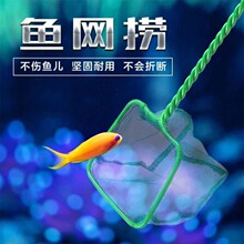 鱼缸鱼捞捞鱼网兜方形绿色鱼捞手抄鱼网观赏鱼渔捞水族箱抄网可定