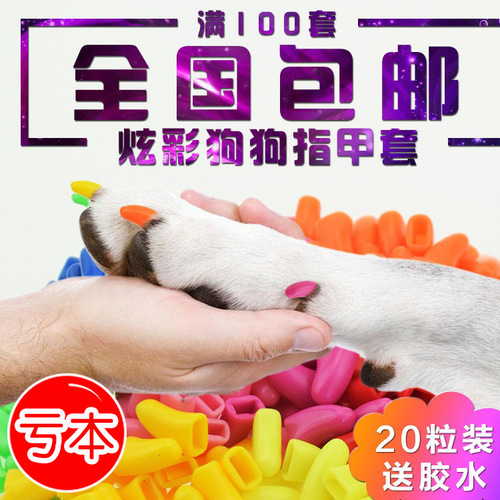 Dog claw set in bulk 20 pieces pet nail set dog nail Teddy claw set anti-scratch plus glue