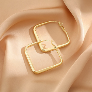 Square Light Luxury Exaggerated European and American Earrings New Fashionable Internet Celebrity Elegant Ear Studs Female Elegant Design Sense Earrings