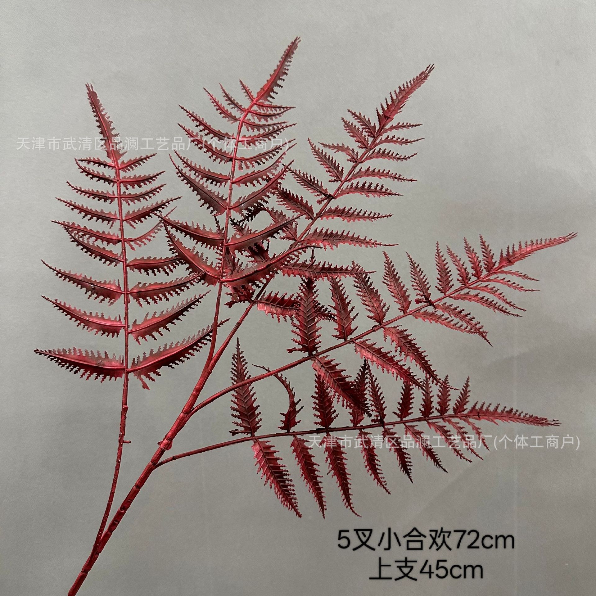 다섯 갈래 아카시아
