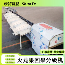 �}Ů���ּ��C�r��,�������x�C,â���x���C,���ӷּ��C�S��