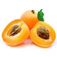 四川枇杷新鲜水果米易琵琶整件包邮当季水果枇杷一件代发