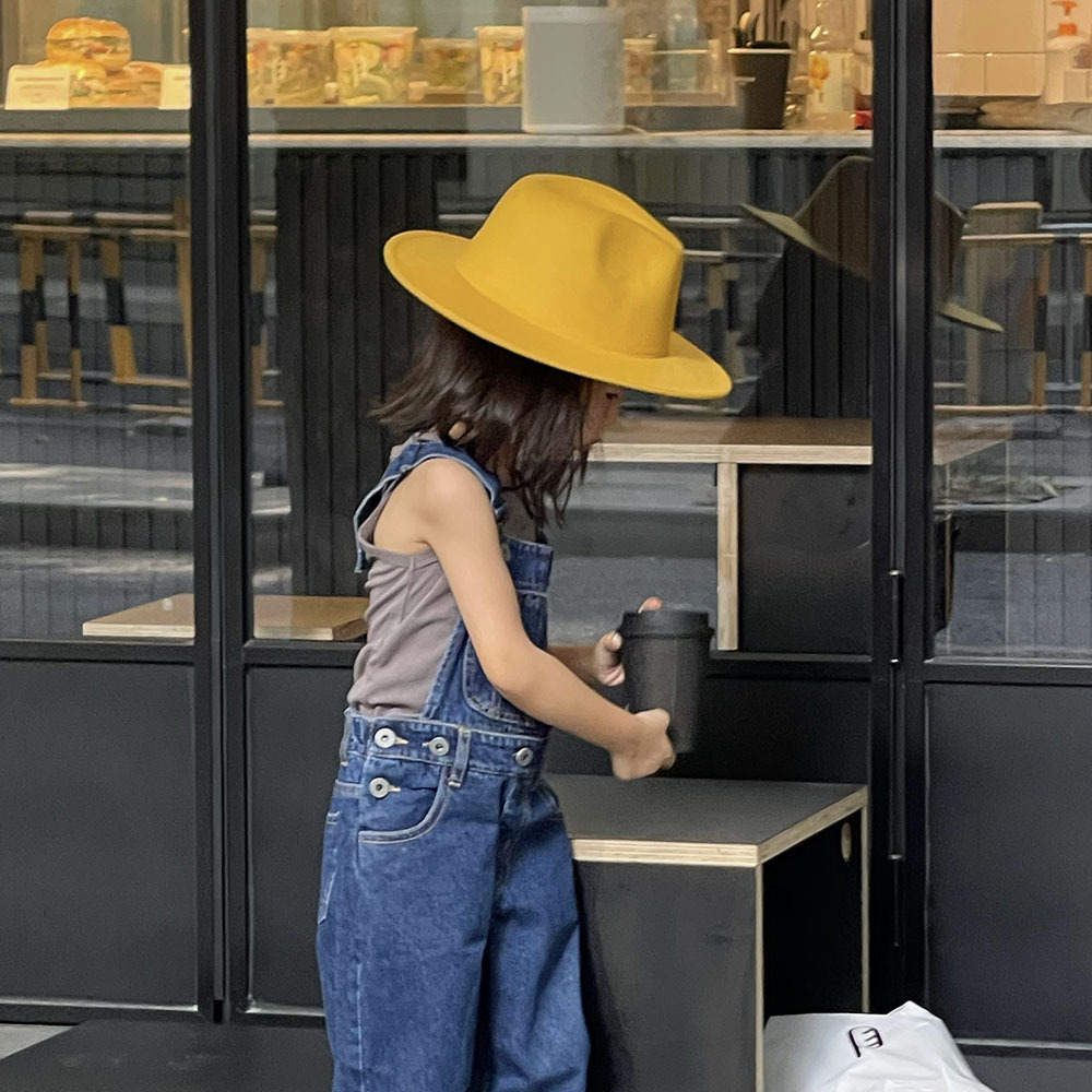 Winter, Autumn Season Children Unisex Gender Children Unisex Fashion Solid Color Wide Eaves Felt Hat