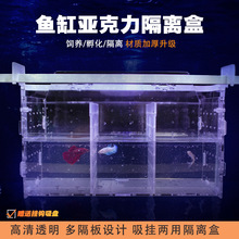 斗鱼孔雀鱼繁殖盒产房亚克力鱼缸内乌龟隔离盒吸盘悬浮式蛋龟通用