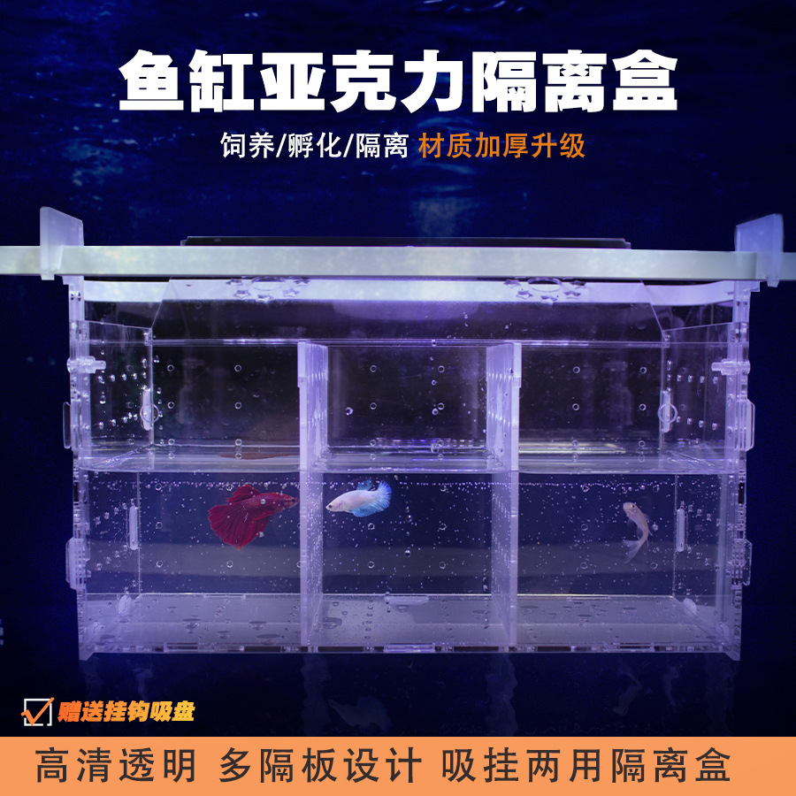 斗鱼孔雀鱼繁殖盒产房亚克力鱼缸内乌龟隔离盒吸盘悬浮式蛋龟通用