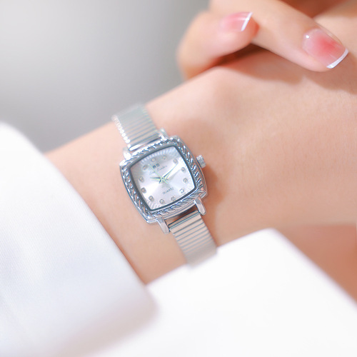 BS new hot-selling watch manufacturer direct sales light luxury INS cold wind small square watch women's stainless steel watch bamboo strap