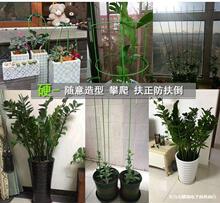 �҃Ȼ����ӽ��X��G�}�߲˹Ϲ�����֧�ܻ���ֲ��֧�ΗU�m���̶���