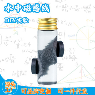 Science and Technology Small Production Magnetic Line Magnetic Line Magnetic Field Detection Physical Science Small Experiment suit Children's Educational Aware