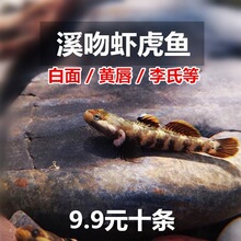 Ϫ��Ϻ����ƴ����ϻ����ϴ�������С��Ϻ����ԭ�����������ˮ��