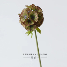 滨l{軨N L܇Ҿb廨ѹӢɻ[