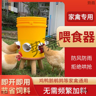 Automatic Chicken Feeder, Poultry Feeding, Bird-Proof Feeding Bucket, Chicken Feeding, Duck and Goose Automatic Feeder