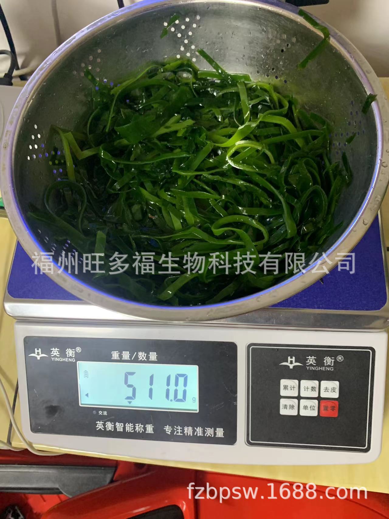 171846842b48e17f8af899f4c1f820