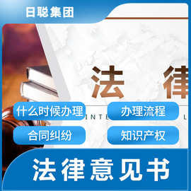 法律意见书 法律意见报告 企业咨询顾问