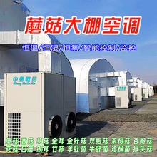 �W�ſƼ��Nֲ�h�̱O���ԄӐa�ؐa��a���O����Ҵ���Ģ���Bֳ���{