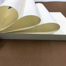 相纸;打印纸;艺术纸