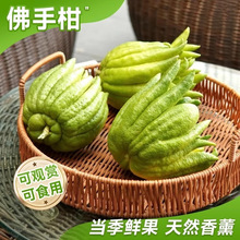 佛手柑水培新鲜带枝观赏室内绿植闻香清供食用佛手果天然香薰佛手