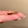 Red one size ring
