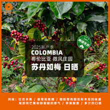 哥伦比亚慧兰微风庄园苏丹如梅日晒精品咖啡生豆2025新产季
