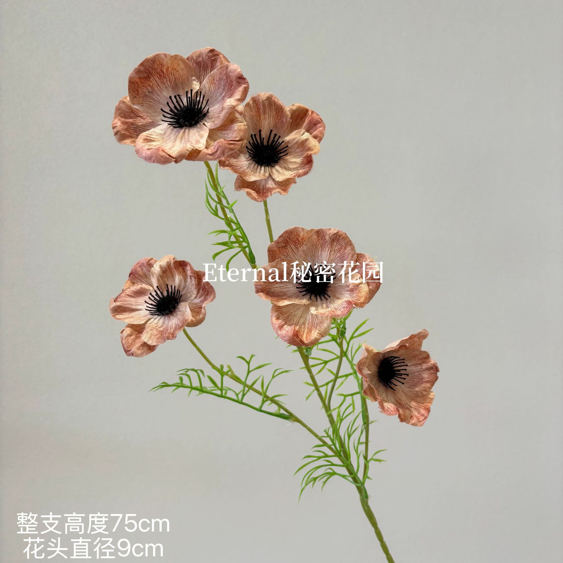 불꽃놀이 아네모네