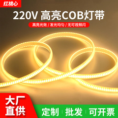 Cobランプは超明るい220v高圧屋外防水知能高顕吊り天井暗槽に光を隠してledランプを接着する