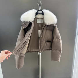 2025年秋冬新款进口山羊绒毛领90白鹅绒高品质鹅绒服温暖舒适