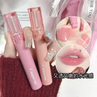 Lip gloss nutritious mirror effect, intense hydration and plumping, 6 shades (01–06)
