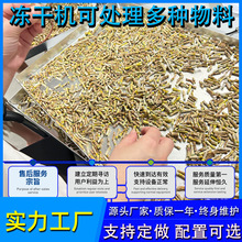 ���t���u�����_�ݜ��σ��əC �͜�ˮ�����əC �ۄ����əC�O��