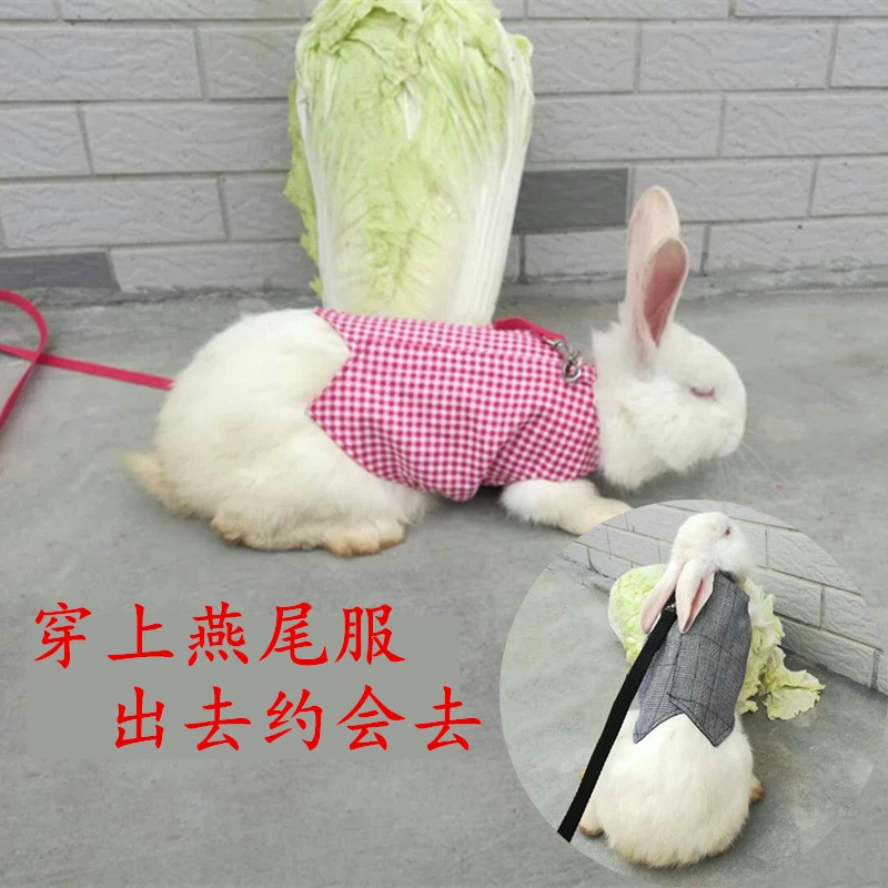Поводок кролика поводок прогулочная цепочка для кошек нагрудный ремень кролик пальто джентльмена смокинг одежда кролика