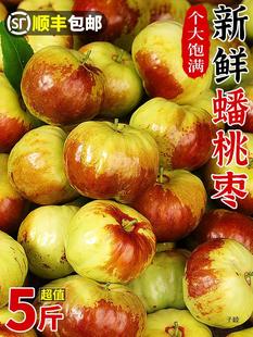 云南新鲜蟠枣5斤当季现摘潘枣蜜罐枣甜脆冬枣大果顺丰包邮蟠桃枣-阿里巴巴