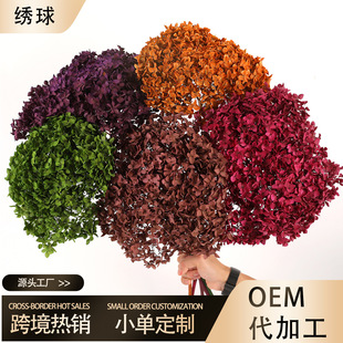 ���� ������ �ɻ�����ľ����DIY���� �ӼҲ廨�b� ��c��ˇܛ�b