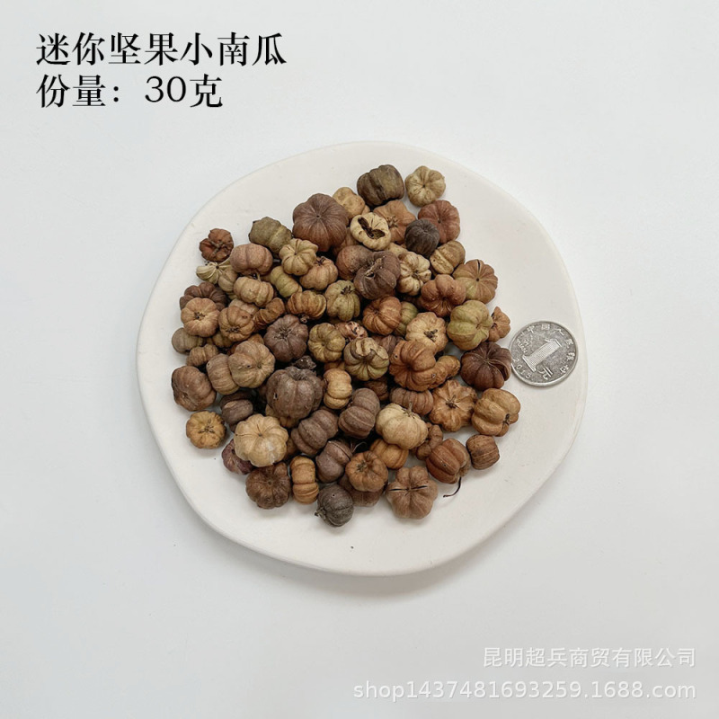 【各种果实类干花】圣诞果实类装饰品干花干果香薰蜡烛DIY橡果精|undefined