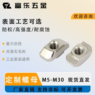 M8T型螺母 滑动螺母 碳钢 T型螺母 白色镀锌 中国工厂热销