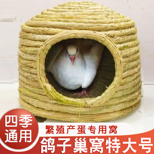 ���ӳ��C�ش�̖�a���C��ֳ�����Ғ�ʽ�B���ļ�ͨ�þ���Ʒ��ȫ