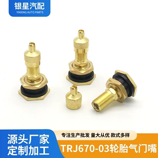 TRJ650-3大芯腔轮胎气门嘴工业车农业车分体式气门嘴重型车气嘴