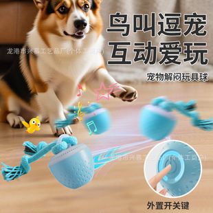 ���������� �羳��������򶺹����������ԄӶ�����늄ӹ������