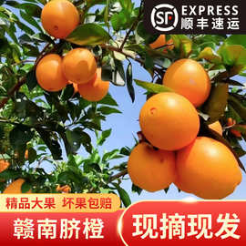 江西赣南脐橙10斤20斤大果一件代发赣州信丰直发新鲜水果橙子批发