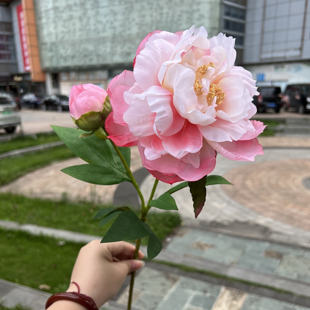 Simulación del Día de San Valentín rosa fabricante 3 sola rama multi-cabeza rosa decoración de la boda flor falsa al por mayor