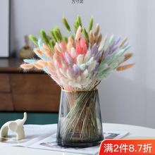 �W�t�������Ҿӿ͏d�b[����֦�廨��β��β�͸ɻ����Sһ�����l